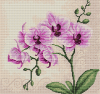 B2227 Орхидеи. Набор для вышивки крестом