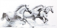 B495 Белые лошади. Набор для вышивки крестом